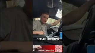 П пперс Тренер / P ppers Training