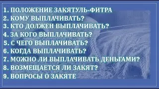 Коротко и ясно о закят аль-фитре. Плюс вопросы/ответы.