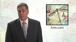LOSS v1 ren6