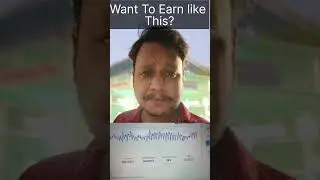 Earn like a Pro 😉 