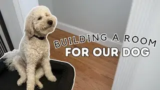 How to Build a Dog Room Under a Staircase 🐶🏠 DIY Under Staircase Makeover | Making a Dog House