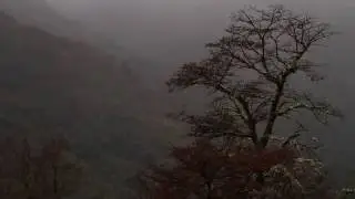 A Rainy Day In Patagonia