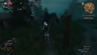 The witcher 3 он же ведьмак