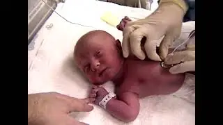 Joseph's 1st Year, 2004 [HD]