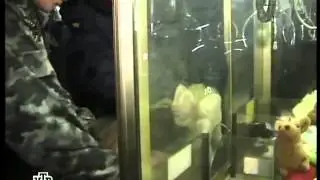 Доигралась!