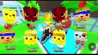 Hatching two mythical hot dog pets in pet simulator X 