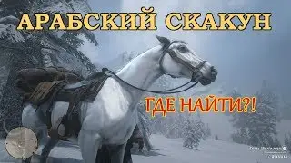 ЭЛИТНЫЙ Скакун! Арабский. Где найти?! (RDR2)