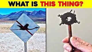 What Is This Thing? Times People Stumbled Upon Mysterious Objects
