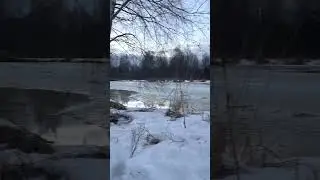 Первая работа подсадных 2023