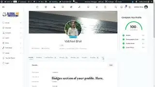 How to Earn Points, Track Progress, and Understand Badges