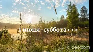 1 июня-31 августа #лето #каникулы #викишоу  #последнийденьлета  #суббота