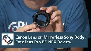 Canon Lens on Mirrorless Sony Body: FotoDiox Pro EF-NEX Review