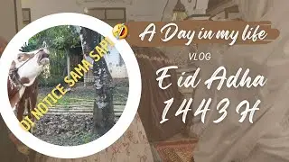 DI NOTICE SAMA SAPI 😭😭 |A day in my life |Eid adha 1443 H|
