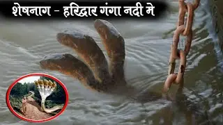 शेषनाग - हरिद्वार गंगा नदी मे लाइव देखें ! Seshnag in Haridwar ganga river || sheshnag