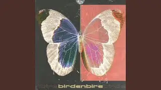 Birdenbire