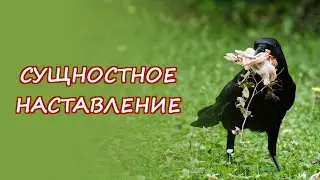 Сущностное наставление