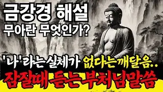 단 1시간에 이해하는 금강경의 진리 | 잠잘때 듣는 부처님 말씀 | 모든 존재는 실체가 없다 (空, 공)의 진짜 의미 | 불교명언 반야심경 화엄경 | 잠 안올때 듣는 이야기