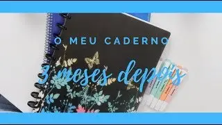 COMO FICOU O MEU CADERNO NO FINAL DO 1º PERÍODO