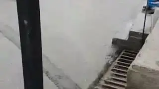 Сунги янгилик