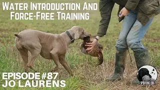 Podcast Short Episode 87: Jo Laurens on Water Introduction & Force-Free Training