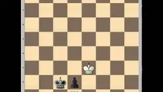 Test your rook endings knowledge