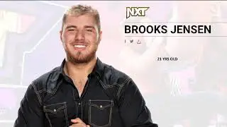 WWE Superstars Under 30 Years Old