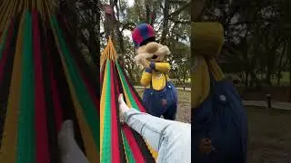 Parque do Caracol em Canela no Rio Grande do Sul