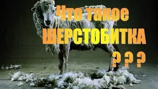 Что такое шерстобитка? Как работает? / What sherstobitka? How does it work?