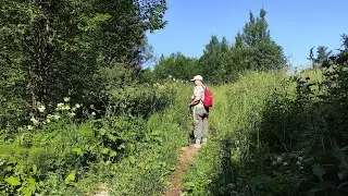 Экотропа "Наедине с природой". Пермь. 9 июля 2024
