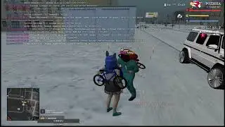 Для фила