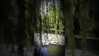весна 🌱#природа#весна#эстетика