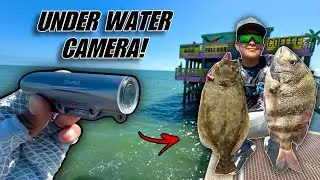 This is What LIVES Under Fishing Piers In Texas!! 61st Fishing Pier