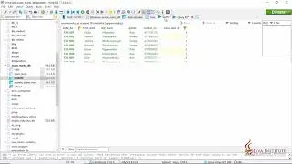 Data Base Task 19 |Use Query Statement to Enter, Modify, Delete, Search data|Java Institute