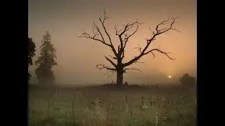 Osu! - The Ghost Of 3.13 - Forgotten [Grumd]