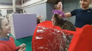 Выставка кошек в Екатеринбурге 04.05.19