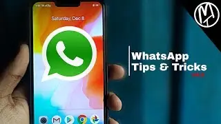 Top 5 WhatsApp Tips and Tricks Vol.2 | Misterr Techh