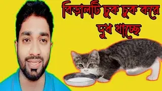 ব্যতিক্রমধর্মী কিছু গুরুত্বপূর্ণ বাক্য।। Learn Some exeptional sentences#translation #learnenglish