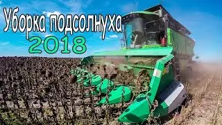 Уборка подсолнуха 2018  | Комбайны Deutz Fahr 6090 и 6095