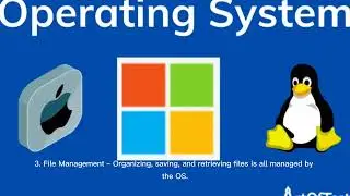 Operating Systems 101: Key Features and How They Work!