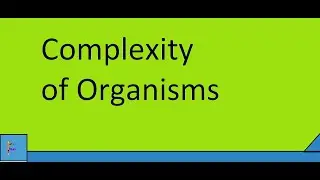 Complexity of organisms