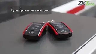 CMP200 шлагбаум ZKTeco