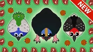 MOPE.IO CASSOWARY TROLLING! *4 NEW BIRDS* Peacock, Woodpecker, Chicken & Cassowary (Mopeio Update)