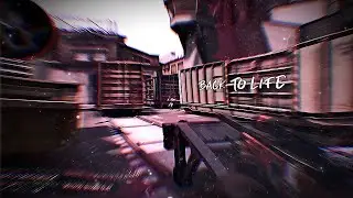 Back to Life (Birthdae) - csgo fragmovie