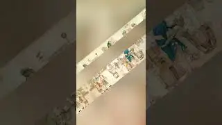 ЗА ВЫГОДОЙ ИЛИ ЗА СЛАВОЙ 