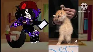 What Ender Sent To Kitty At 3 AM