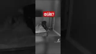 фейк но страшно лайфо лафкшари