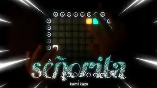 Shawn Mendes, Camila Cabello - Señorita (Robbie Mendez Remix) // Launchpad Cover