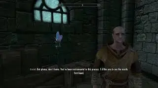 Skyrim: arniel does a magic trick