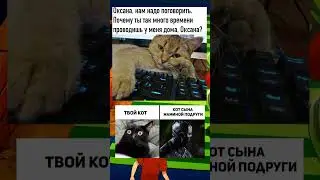 #мем #меме #мемы_тикток #мемы2023 #кот #котики #мемас #котыприколы #коты