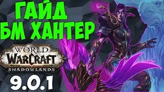 ГАЙД НА БМ ХАНТА WoW 9.0.1 Shadowlands ПРЕПАТЧ